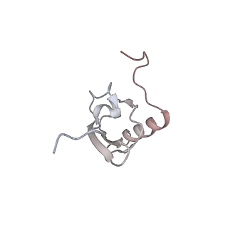 22472_7jt3_X_v1-0
Rotated 70S ribosome stalled on long mRNA with ArfB-1 and ArfB-2 bound in the A site (+9-IV)