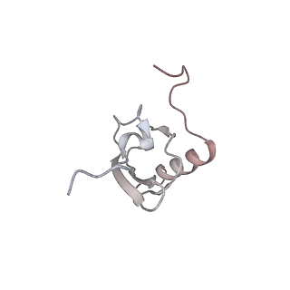 22472_7jt3_X_v1-1
Rotated 70S ribosome stalled on long mRNA with ArfB-1 and ArfB-2 bound in the A site (+9-IV)