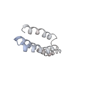 22472_7jt3_Y_v1-1
Rotated 70S ribosome stalled on long mRNA with ArfB-1 and ArfB-2 bound in the A site (+9-IV)