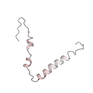 22472_7jt3_Z_v1-0
Rotated 70S ribosome stalled on long mRNA with ArfB-1 and ArfB-2 bound in the A site (+9-IV)