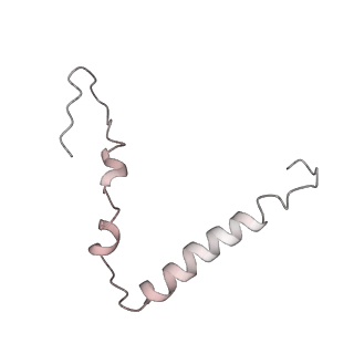 22472_7jt3_Z_v1-1
Rotated 70S ribosome stalled on long mRNA with ArfB-1 and ArfB-2 bound in the A site (+9-IV)