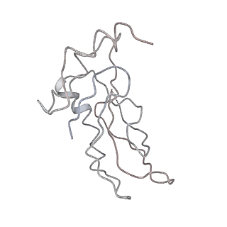 22472_7jt3_a_v1-0
Rotated 70S ribosome stalled on long mRNA with ArfB-1 and ArfB-2 bound in the A site (+9-IV)