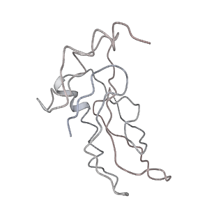22472_7jt3_a_v1-1
Rotated 70S ribosome stalled on long mRNA with ArfB-1 and ArfB-2 bound in the A site (+9-IV)