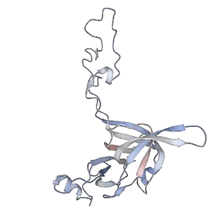 22472_7jt3_c_v1-0
Rotated 70S ribosome stalled on long mRNA with ArfB-1 and ArfB-2 bound in the A site (+9-IV)