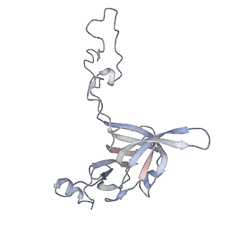 22472_7jt3_c_v1-1
Rotated 70S ribosome stalled on long mRNA with ArfB-1 and ArfB-2 bound in the A site (+9-IV)