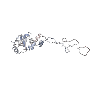 22472_7jt3_d_v1-1
Rotated 70S ribosome stalled on long mRNA with ArfB-1 and ArfB-2 bound in the A site (+9-IV)