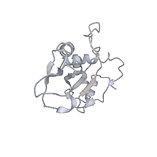 22472_7jt3_e_v1-0
Rotated 70S ribosome stalled on long mRNA with ArfB-1 and ArfB-2 bound in the A site (+9-IV)