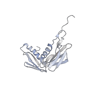 22472_7jt3_f_v1-0
Rotated 70S ribosome stalled on long mRNA with ArfB-1 and ArfB-2 bound in the A site (+9-IV)