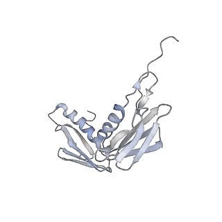 22472_7jt3_f_v1-1
Rotated 70S ribosome stalled on long mRNA with ArfB-1 and ArfB-2 bound in the A site (+9-IV)