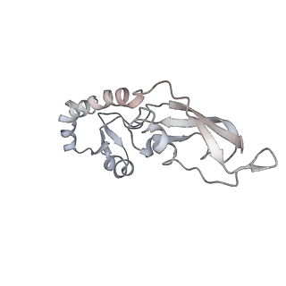 22472_7jt3_g_v1-0
Rotated 70S ribosome stalled on long mRNA with ArfB-1 and ArfB-2 bound in the A site (+9-IV)