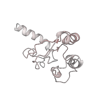 22472_7jt3_h_v1-0
Rotated 70S ribosome stalled on long mRNA with ArfB-1 and ArfB-2 bound in the A site (+9-IV)