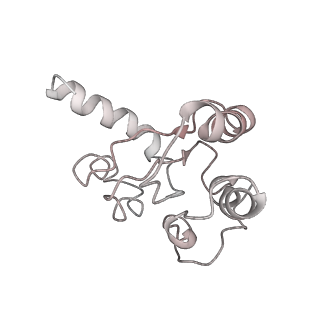 22472_7jt3_h_v1-1
Rotated 70S ribosome stalled on long mRNA with ArfB-1 and ArfB-2 bound in the A site (+9-IV)