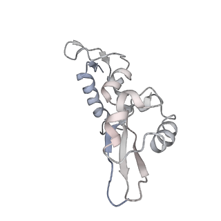 22472_7jt3_i_v1-0
Rotated 70S ribosome stalled on long mRNA with ArfB-1 and ArfB-2 bound in the A site (+9-IV)