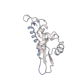 22472_7jt3_i_v1-1
Rotated 70S ribosome stalled on long mRNA with ArfB-1 and ArfB-2 bound in the A site (+9-IV)