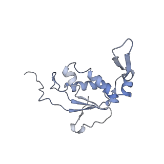 22472_7jt3_j_v1-0
Rotated 70S ribosome stalled on long mRNA with ArfB-1 and ArfB-2 bound in the A site (+9-IV)