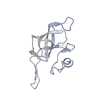 22472_7jt3_k_v1-0
Rotated 70S ribosome stalled on long mRNA with ArfB-1 and ArfB-2 bound in the A site (+9-IV)