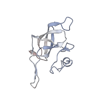 22472_7jt3_k_v1-1
Rotated 70S ribosome stalled on long mRNA with ArfB-1 and ArfB-2 bound in the A site (+9-IV)