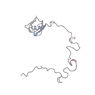 22472_7jt3_l_v1-0
Rotated 70S ribosome stalled on long mRNA with ArfB-1 and ArfB-2 bound in the A site (+9-IV)