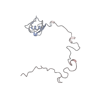 22472_7jt3_l_v1-1
Rotated 70S ribosome stalled on long mRNA with ArfB-1 and ArfB-2 bound in the A site (+9-IV)