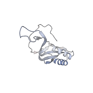 22472_7jt3_m_v1-0
Rotated 70S ribosome stalled on long mRNA with ArfB-1 and ArfB-2 bound in the A site (+9-IV)