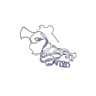 22472_7jt3_m_v1-1
Rotated 70S ribosome stalled on long mRNA with ArfB-1 and ArfB-2 bound in the A site (+9-IV)