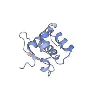 22472_7jt3_n_v1-0
Rotated 70S ribosome stalled on long mRNA with ArfB-1 and ArfB-2 bound in the A site (+9-IV)
