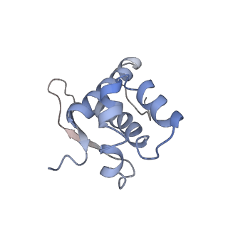 22472_7jt3_n_v1-1
Rotated 70S ribosome stalled on long mRNA with ArfB-1 and ArfB-2 bound in the A site (+9-IV)