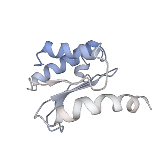 22472_7jt3_o_v1-0
Rotated 70S ribosome stalled on long mRNA with ArfB-1 and ArfB-2 bound in the A site (+9-IV)