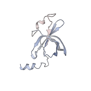 22472_7jt3_p_v1-1
Rotated 70S ribosome stalled on long mRNA with ArfB-1 and ArfB-2 bound in the A site (+9-IV)