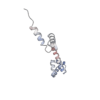 22472_7jt3_q_v1-0
Rotated 70S ribosome stalled on long mRNA with ArfB-1 and ArfB-2 bound in the A site (+9-IV)