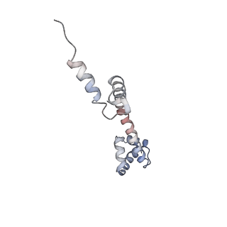 22472_7jt3_q_v1-1
Rotated 70S ribosome stalled on long mRNA with ArfB-1 and ArfB-2 bound in the A site (+9-IV)