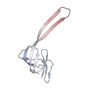 22472_7jt3_r_v1-1
Rotated 70S ribosome stalled on long mRNA with ArfB-1 and ArfB-2 bound in the A site (+9-IV)