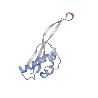 22472_7jt3_s_v1-0
Rotated 70S ribosome stalled on long mRNA with ArfB-1 and ArfB-2 bound in the A site (+9-IV)
