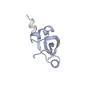 22472_7jt3_t_v1-1
Rotated 70S ribosome stalled on long mRNA with ArfB-1 and ArfB-2 bound in the A site (+9-IV)