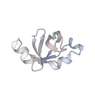 22472_7jt3_v_v1-1
Rotated 70S ribosome stalled on long mRNA with ArfB-1 and ArfB-2 bound in the A site (+9-IV)