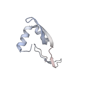22472_7jt3_x_v1-0
Rotated 70S ribosome stalled on long mRNA with ArfB-1 and ArfB-2 bound in the A site (+9-IV)