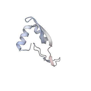 22472_7jt3_x_v1-1
Rotated 70S ribosome stalled on long mRNA with ArfB-1 and ArfB-2 bound in the A site (+9-IV)