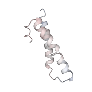 22472_7jt3_y_v1-0
Rotated 70S ribosome stalled on long mRNA with ArfB-1 and ArfB-2 bound in the A site (+9-IV)