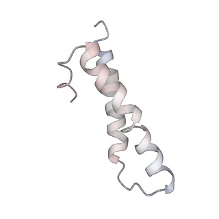 22472_7jt3_y_v1-1
Rotated 70S ribosome stalled on long mRNA with ArfB-1 and ArfB-2 bound in the A site (+9-IV)