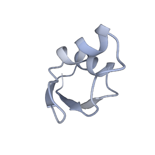 22472_7jt3_z_v1-0
Rotated 70S ribosome stalled on long mRNA with ArfB-1 and ArfB-2 bound in the A site (+9-IV)