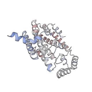 22473_7jth_C_v1-1
Cryo-EM structure of unliganded octameric prenyltransferase domain of Phomopsis amygdali fusicoccadiene synthase