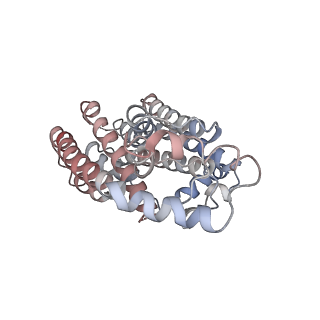22473_7jth_D_v1-1
Cryo-EM structure of unliganded octameric prenyltransferase domain of Phomopsis amygdali fusicoccadiene synthase