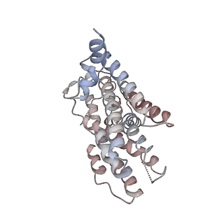22473_7jth_F_v1-1
Cryo-EM structure of unliganded octameric prenyltransferase domain of Phomopsis amygdali fusicoccadiene synthase