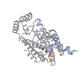 22473_7jth_G_v1-1
Cryo-EM structure of unliganded octameric prenyltransferase domain of Phomopsis amygdali fusicoccadiene synthase
