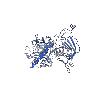 22475_7jtk_B_v1-2
Radial spoke 1 isolated from Chlamydomonas reinhardtii