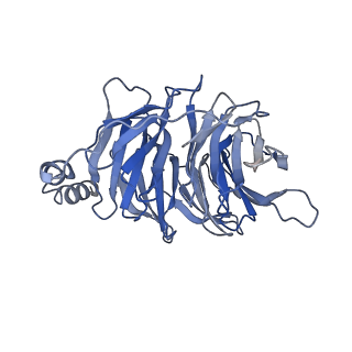 36634_8jt6_B_v1-0
5-HT1A-Gi in complex with compound (R)-IHCH-7179