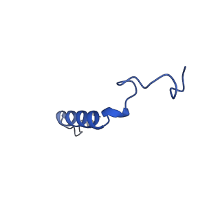 36634_8jt6_G_v1-0
5-HT1A-Gi in complex with compound (R)-IHCH-7179