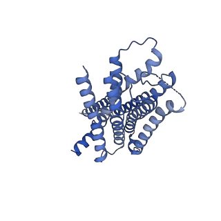 36634_8jt6_R_v1-0
5-HT1A-Gi in complex with compound (R)-IHCH-7179