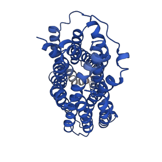 36637_8jt9_A_v1-1
Human VMAT2 complex with ketanserin