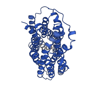 36637_8jt9_A_v1-2
Human VMAT2 complex with ketanserin